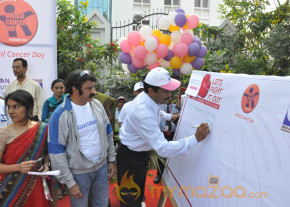 Stars At Cancer Awareness 2013 Event  photo 47