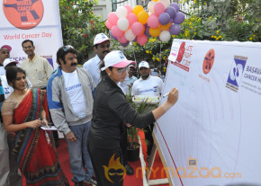 Stars At Cancer Awareness 2013 Event  photo 58