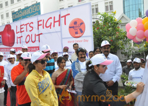 Stars At Cancer Awareness 2013 Event  photo 19