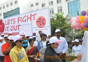 Stars At Cancer Awareness 2013 Event  photo 9