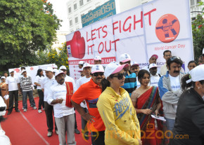 Stars At Cancer Awareness 2013 Event  photo 13