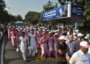 Stars At Cancer Awareness 2013 Event  photo 5