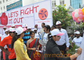 Stars At Cancer Awareness 2013 Event  photo 51