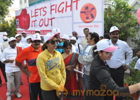 Stars At Cancer Awareness 2013 Event  photo 42