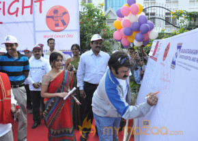 Stars At Cancer Awareness 2013 Event  photo 81