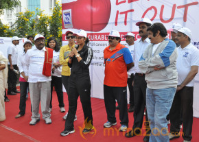 Stars At Cancer Awareness 2013 Event  photo 55