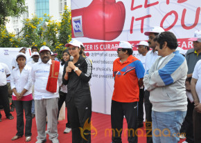 Stars At Cancer Awareness 2013 Event  photo 61