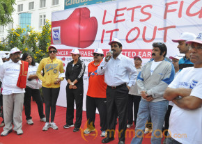 Stars At Cancer Awareness 2013 Event  photo 63