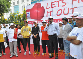 Stars At Cancer Awareness 2013 Event  photo 38
