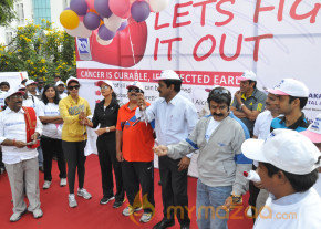 Stars At Cancer Awareness 2013 Event  photo 41