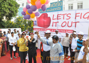 Stars At Cancer Awareness 2013 Event  photo 62