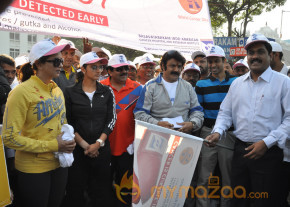 Stars At Cancer Awareness 2013 Event  photo 70