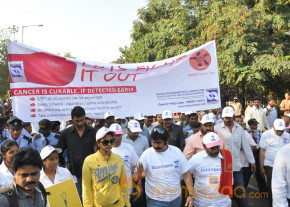 Stars At Cancer Awareness 2013 Event  photo 59