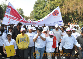 Stars At Cancer Awareness 2013 Event  photo 23