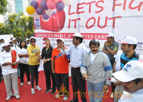 Stars At Cancer Awareness 2013 Event  photo 29
