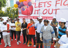 Stars At Cancer Awareness 2013 Event  photo 44