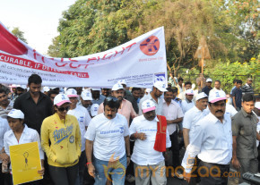 Stars At Cancer Awareness 2013 Event  photo 15