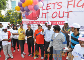 Stars At Cancer Awareness 2013 Event  photo 53