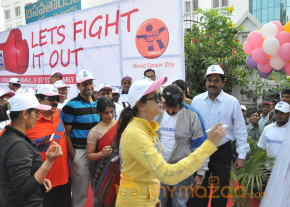 Stars At Cancer Awareness 2013 Event  photo 14