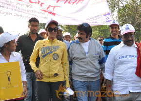 Stars At Cancer Awareness 2013 Event  photo 43
