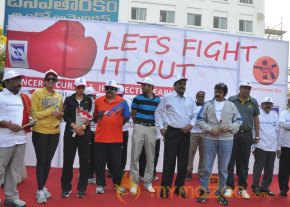 Stars At Cancer Awareness 2013 Event  photo 16