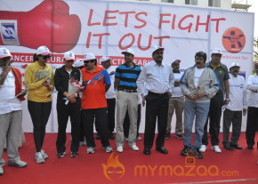 Stars At Cancer Awareness 2013 Event  photo 12