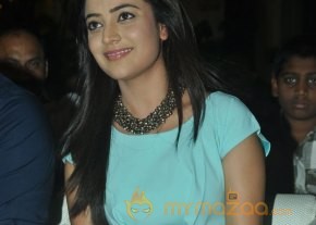 Sukumarudu Audio Launch Photos photo 20