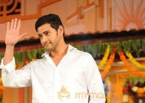 SvSc Audio-Function Photos gallery photo 12