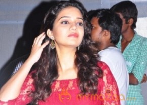 Swami Ra Ra Movie 50days function Photo Gallery photo 4