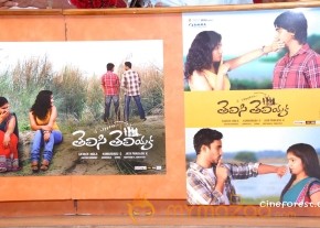 Telisi Teliyaka Movie Audio Launch Photos photo 20