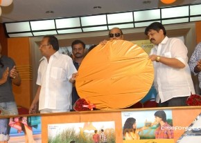 Telisi Teliyaka Movie Audio Launch Photos photo 2