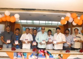 Telisi Teliyaka Movie Audio Launch Photos photo 16