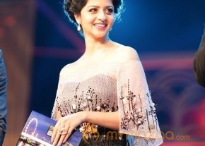 Telugu and Kannada Film Industry SIIMA 2016 Awards Function Stills Day 1 photo 24