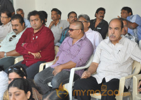 Telugu Film Industry Protest Against Service Tax  photo 7