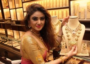 Telugu Hot Models Akshaya Tritaya Celebrations photo 26
