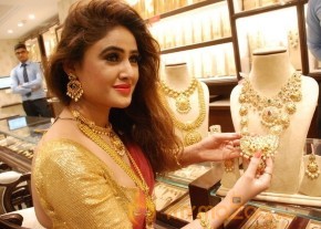 Telugu Hot Models Akshaya Tritaya Celebrations photo 36