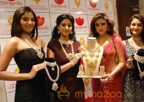 Telugu Hot Models Akshaya Tritaya Celebrations