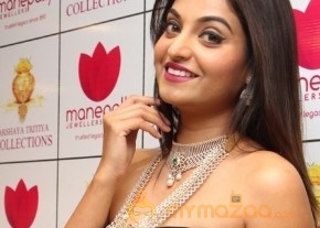 Telugu Hot Models Akshaya Tritaya Celebrations photo 2