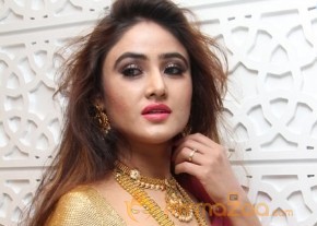 Telugu Hot Models Akshaya Tritaya Celebrations photo 3