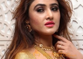 Telugu Hot Models Akshaya Tritaya Celebrations photo 5