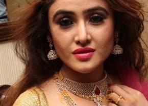 Telugu Hot Models Akshaya Tritaya Celebrations photo 9