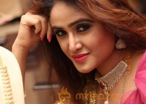 Telugu Hot Models Akshaya Tritaya Celebrations photo 12