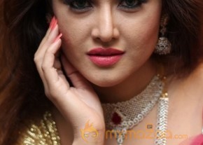 Telugu Hot Models Akshaya Tritaya Celebrations photo 13