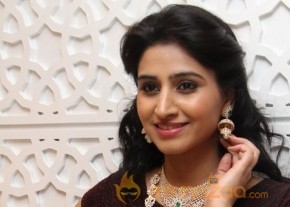 Telugu Hot Models Akshaya Tritaya Celebrations photo 27