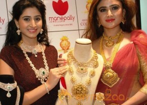 Telugu Hot Models Akshaya Tritaya Celebrations photo 16
