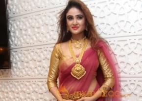 Telugu Hot Models Akshaya Tritaya Celebrations photo 17