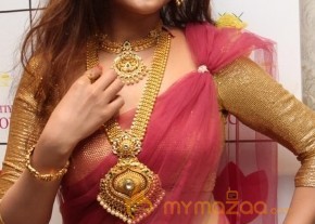 Telugu Hot Models Akshaya Tritaya Celebrations photo 19