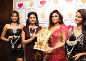 Telugu Hot Models Akshaya Tritaya Celebrations photo 21