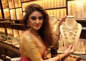 Telugu Hot Models Akshaya Tritaya Celebrations photo 30