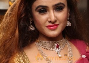 Telugu Hot Models Akshaya Tritaya Celebrations photo 34